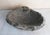 2000 - 2009 Carved Stone Bowl with Goniatite Fossil Detail, Morocco, 2000s For Sale - Image 5 of 6
