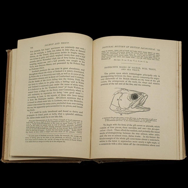 Brown 1890's Antique Badminton Library Book, Fishing Reference For Sale - Image 8 of 12