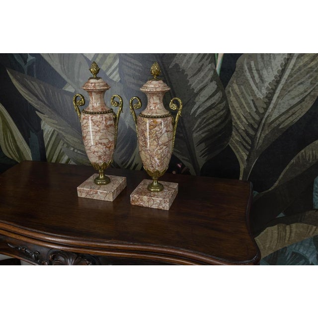 Neo-Classical French Pink Marble Urns with Bronze Mounts, 1920s, Set of 2 For Sale - Image 9 of 18