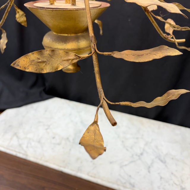 Antique French Chandelier With Gold Leaves and Branches in Old Gilding For Sale - Image 4 of 14