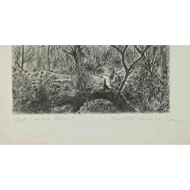 L'Arbre blessé is an artwork realized by Paulette Humbert (1904-1994) in 1950 ca. Etching on paper. Hand-signed on the...