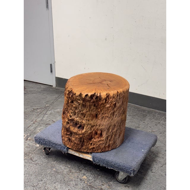 Contemporary Organic Modern Live Edge Tree Side Table/Stool For Sale - Image 3 of 12