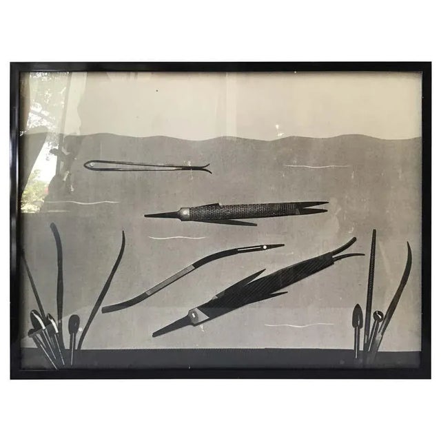 Paper 1950s Laurence Tilley Photograph of Fish Made from Files For Sale - Image 7 of 7