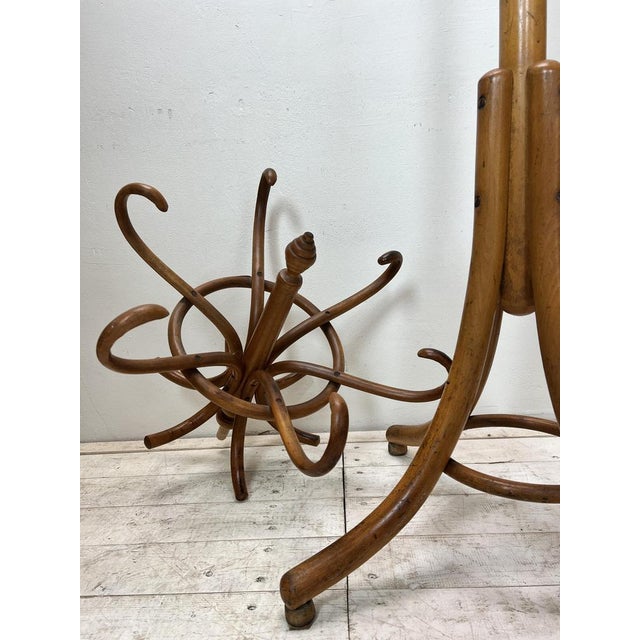 Free Standing Coat Rack in the style of Thonet, 1950s For Sale - Image 12 of 15