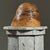 Vintage Abstract Organic Modern Burl Wood Sculpture For Sale - Image 4 of 10