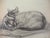 Théophile Alexandre Steinlen Sleepy cats, 1933 Lithograph on vellum Signed in the plate On fine Arches vellum 21 x 22 cm...
