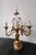 Vintage Gilded Florentine Floor Lamp, 1920s For Sale - Image 15 of 18