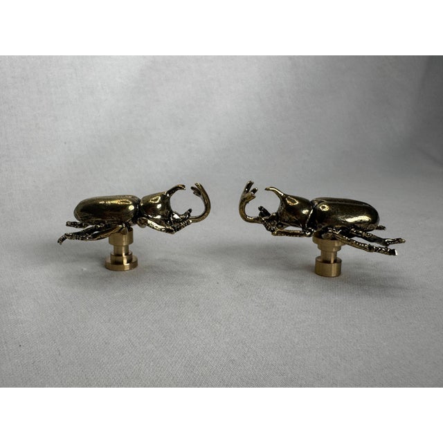 Pair of Vintage Victorian Revival Solid Brass Beetle Cabinet Knobs Hardware For Sale - Image 10 of 12