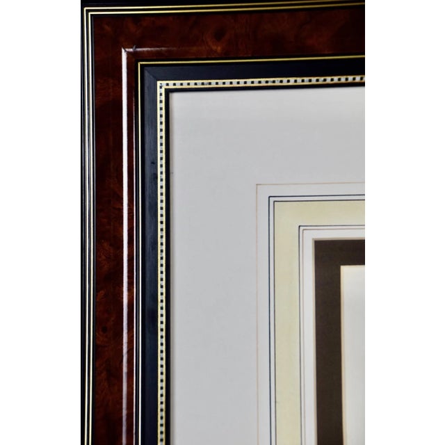 Late 18th Century Silvery Marmoset Amazon Monkey: Framed Audebert 18th C. Hand-Colored Engraving, 1797 For Sale - Image 5 of 5