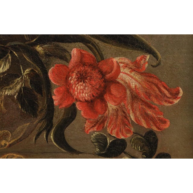 Maestro dei Vasi a Grottesche, Flower Composition in a Renaissance Vase, 17th Century, Oil Painting on Canvas, Framed For Sale - Image 10 of 15