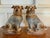 19th Century Antique Pair of Bo’Ness Pug Dog Figurines - Staffordshire Style Scottish Pottery With Glass Eyes & Gilt Collars - 12” Tall For Sale In New Orleans - Image 6 of 10