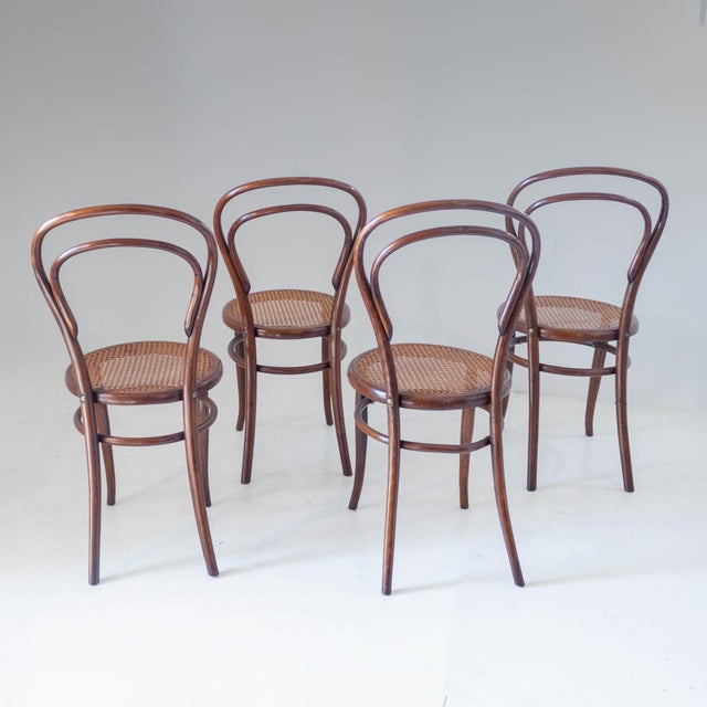 Antique Bentwood and Cane Dining Chairs by Josef Hoffmann, 1900s, Set of 4 For Sale - Image 4 of 16