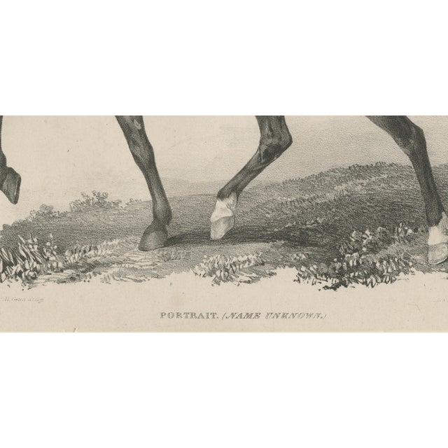 Maxim Gauci, Regency Horse & Rider Portrait, Lithograph, 1840 For Sale - Image 6 of 10