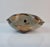 Tonalá Folk Art Ceramic Owl Sculpture by Jorge Wilmot, Mexico, 1960 For Sale - Image 13 of 15