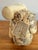 Late 19th Century Antique Carved Bone Chinese Immortal of Shou Lao, Late 1800s For Sale - Image 5 of 8