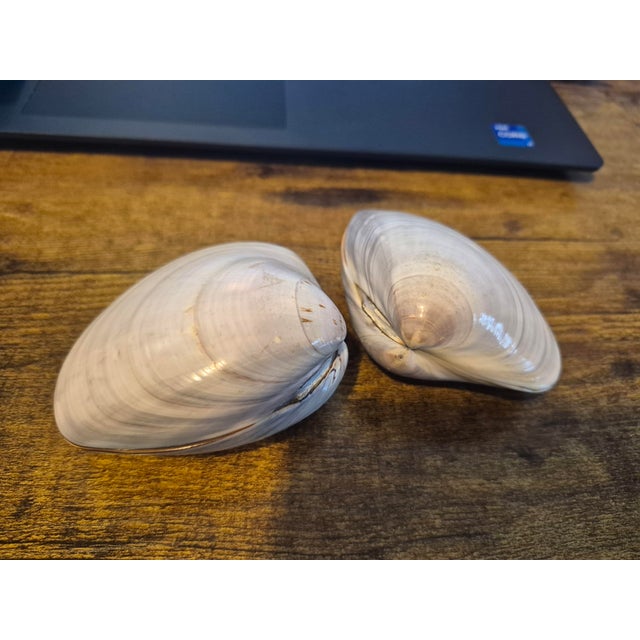 Matched Pairs of Hand-Painted Real Clam Shells – Vintage Japanese Kaiawase-Style Scenes, Set of Four (Two Pairs) For Sale In Atlanta - Image 6 of 8