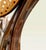 Antique Bentwood Beech and Cane Rocking Chair in the style of Thonet, 1890 For Sale - Image 12 of 18