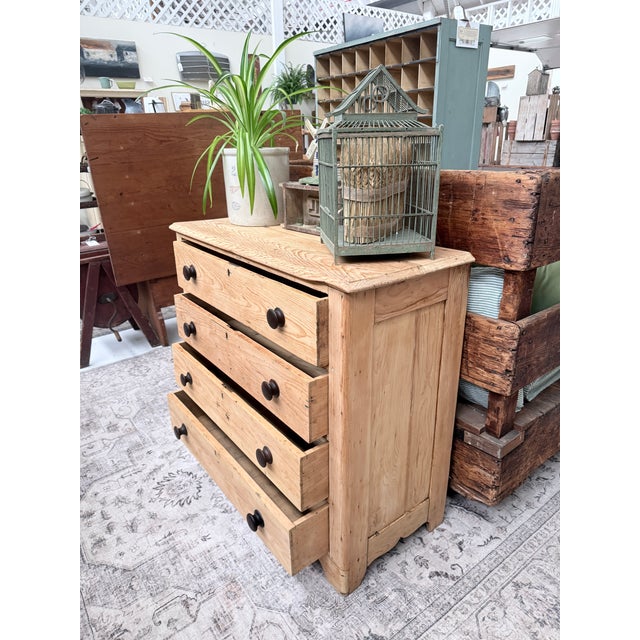 Wood Antique Scrubbed Pine Chest of Drawers For Sale - Image 7 of 9