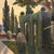 Italian Artist, Landscape, Early 20th Century, Oil on Canvas For Sale - Image 13 of 17