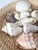White Vintage Collected Seashell Collection For Sale - Image 8 of 17