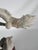 1980s Giuseppe Armani Signed Italian Sculpture “Skating Girl -Winter” For Sale - Image 10 of 12