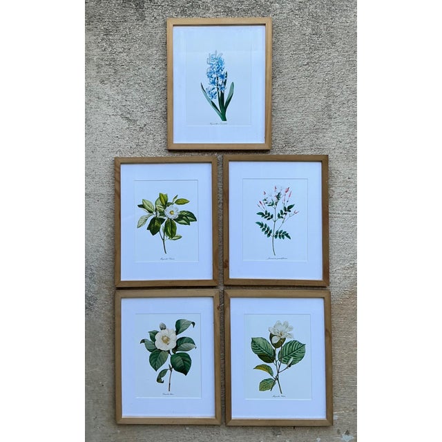 Wood Vintage Botanical Floral Prints in Wood Frames - Set of 5 For Sale - Image 7 of 13