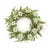 Welcome the season with the soft beauty of this Mixed Pincushion Scabiosa Floral Wreath. Featuring delicate white scabiosa...