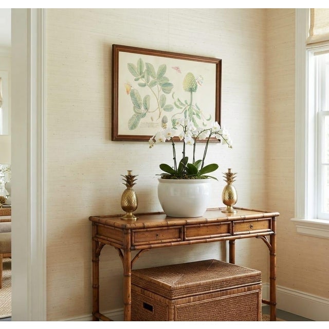 Mark Catesby "The Sweet Sop Tree" Framed Botanical Print For Sale - Image 10 of 12