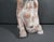 Cream Sarreid Ltd. Spanish Carved Wood Sitting Monkey Sculpture Circa 1970s For Sale - Image 8 of 18