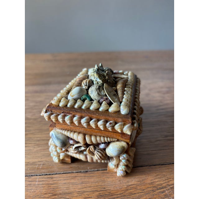 Vintage English Shell Box For Sale In Naples, FL - Image 6 of 8