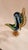 Mid 20th Century Murano Style Crane Sculpture For Sale In Dallas - Image 6 of 6
