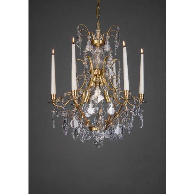 Pompe, Baroque style Chandelier, Cognac, Light oxidised and lacquered brass, Clear Basic by Scholer Crystal Austria (hand...