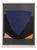 Victor Vasarely, Tecoma, Lithograph, 1972, Framed For Sale