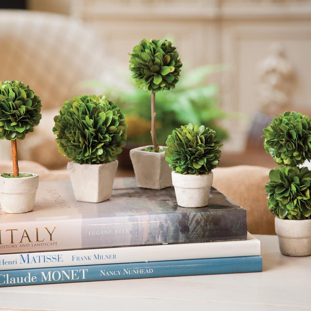 Real English boxwoods, preserved and painstakingly assembled by our masterful artists. Artfully arranged and preserved to...