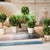 Real English boxwoods, preserved and painstakingly assembled by our masterful artists. Artfully arranged and preserved to...