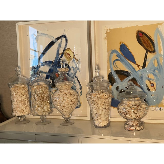 Vintage Large Glass Jars With Sea Shells For Sale - Image 12 of 12