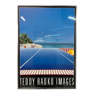 1980s Teddy Radko Images Paris Exiibition Original Framed Poster For Sale