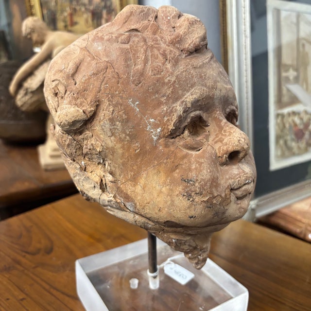 19th Century Terracotta Putto Angel Head Sculpture on Acrylic Base For Sale - Image 5 of 10