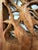 Sea Creatures 3 Dimensional Wood Carving For Sale - Image 16 of 17
