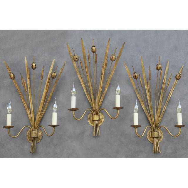Spanish Gilt Tole Reed and Seed Head Wall Sconce, 1960 For Sale - Image 10 of 10