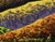 Oil Painting Hiking in the Mountains in the Evening v. Zadorozhnya For Sale - Image 4 of 8