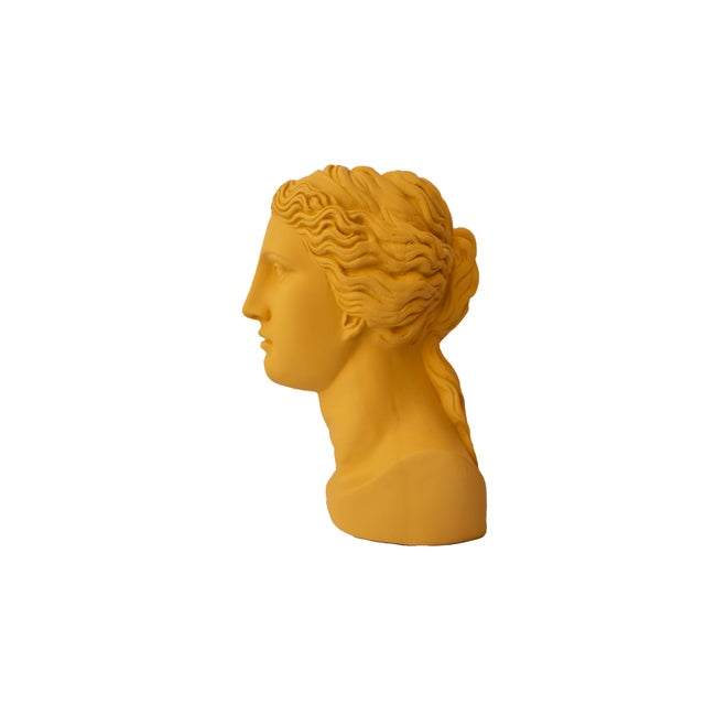 A reinterpretation of the classic bust, these vases are fun way to be classical and fresh. A classic Greek bust with a...