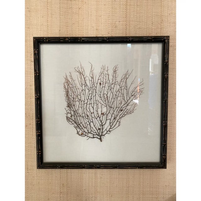 This purchase is for 1 framed fan coral print each varying slightly with an espresso colored frame with ivory linen from...