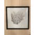 This purchase is for 1 framed fan coral print each varying slightly with an espresso colored frame with ivory linen from...