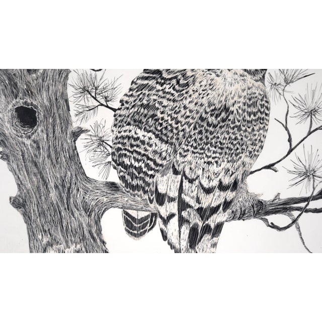 Great Horned Owl Sitting on a Branch - Illustration in Ink on Cardstock by M. Kochmaruk For Sale In Monterey, CA - Image 6 of 7