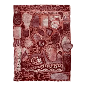 Jeanet Dreskin Stone Carpet Hand Colored Lithograph