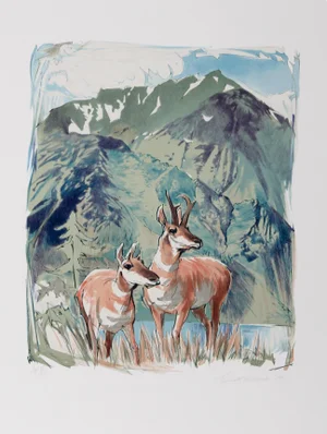 Everett Hibbard, Prong Horn Antelope, Lithograph