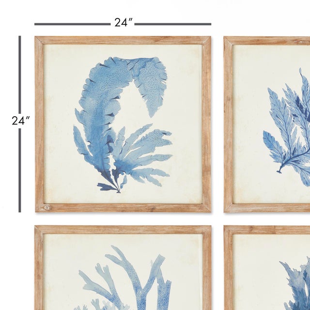 As elegant in style as they are in scale, these coral prints are signature upscale coastal chic. The soft, watercolor...
