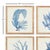 As elegant in style as they are in scale, these coral prints are signature upscale coastal chic. The soft, watercolor...