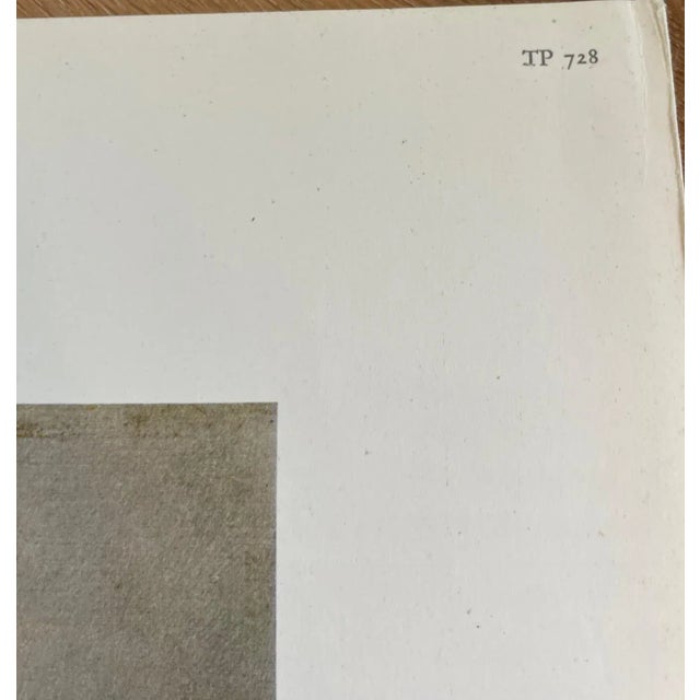 Pablo Picasso, Harlequin, 1917, Offset Lithograph For Sale - Image 6 of 8